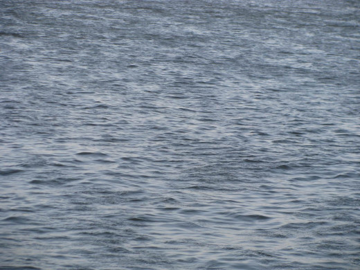 36259 (a): :1600x1200